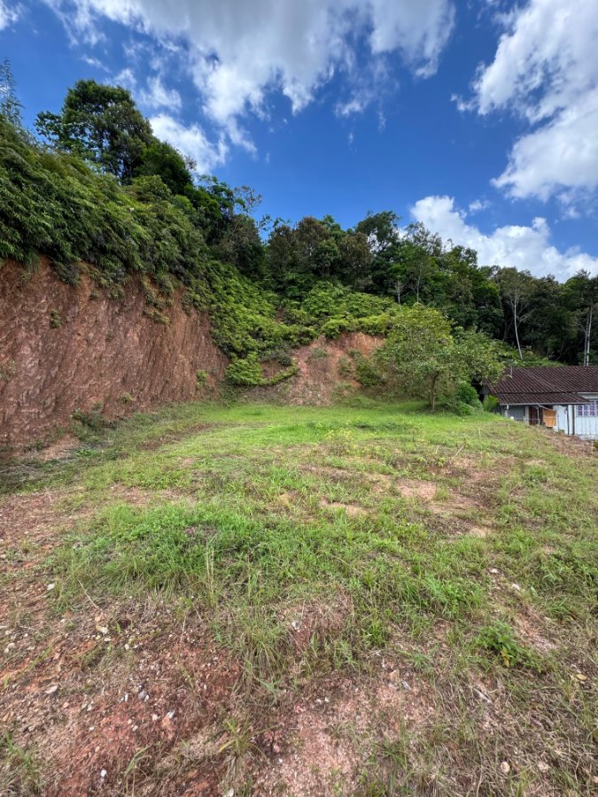 Terreno Nova Brasília